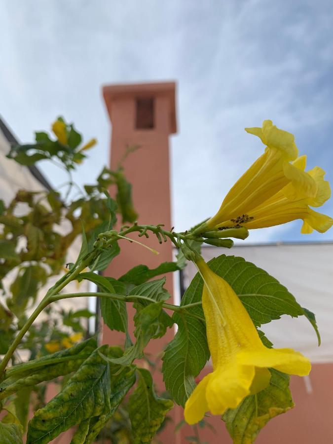 Riad Dar Mamouni Hotel Marrakesh Bagian luar foto